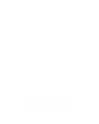 Dice