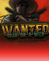 Wanted Dead or a Wild