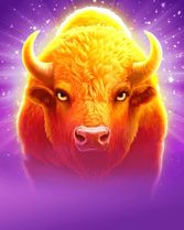 Charge Buffalo Ascent