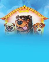 The Dog House Megaways