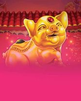 Golden Pig