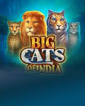 Big Cats of India