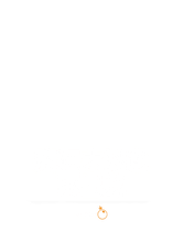 瘋狂大鱸魚再出動