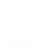 Wildfire
