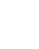 Master Tiger