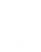 Burning Ice