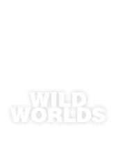 Wild Worlds