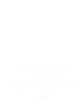 Habesha Fortune 5
