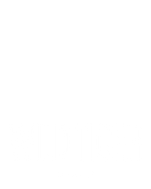 Wild Tiger