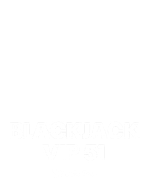 Blackjack VIP 51