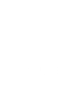 Brute Force