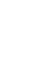 Rapid-Auto Roulette
