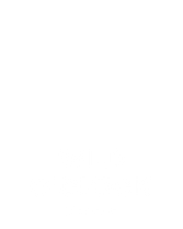 Wild O'Clock