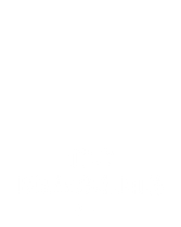 100 Bracelets