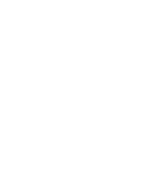 Neko Fortune
