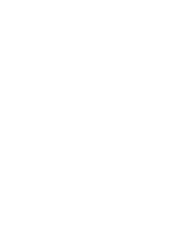 Wild Racer