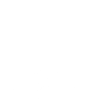 Wild Abduction
