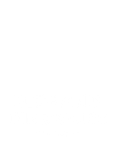 Dice and Dinosaurs