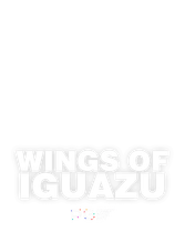Wings of Iguazu