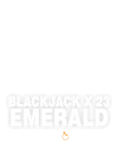 Blackjack 23