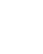 Cash 100
