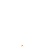5 Lions
