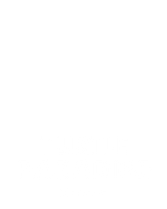 Turtle Paradise