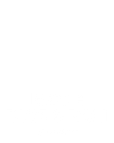 More Dice & Roll