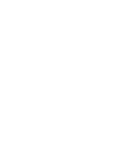 Night City