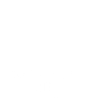 Wonder Tree