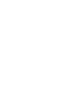 Wild Ace