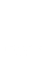 100 Cats
