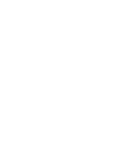 American Auto Roulette