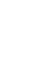 Crash Bonus
