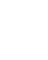 Fortune Monkey