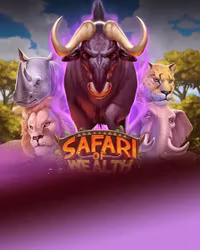 Safari of Wealth