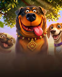 The Big Dog House