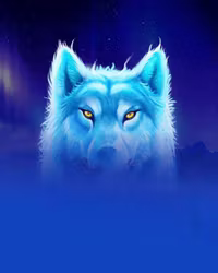 Hokkaido Wolf