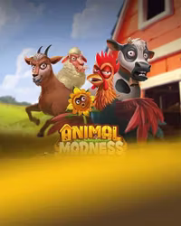 Animal Madness