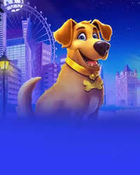 Wild Celebrity Bus Megaways