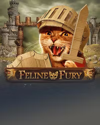Feline Fury