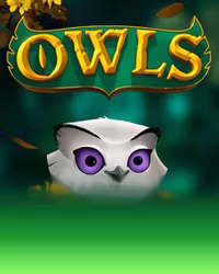 Owls
