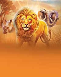 Safari King