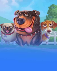 The Dog House Multihold