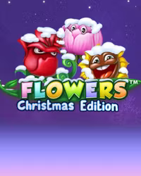Flowers Christmas Edition