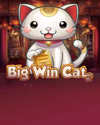 Big Win Cat
