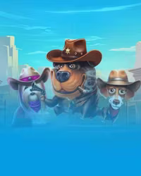 The Dog House Dog or Alive