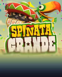 Spinata Grande