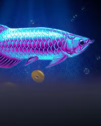 Arowana's Luck