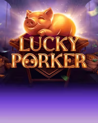 Lucky Porker